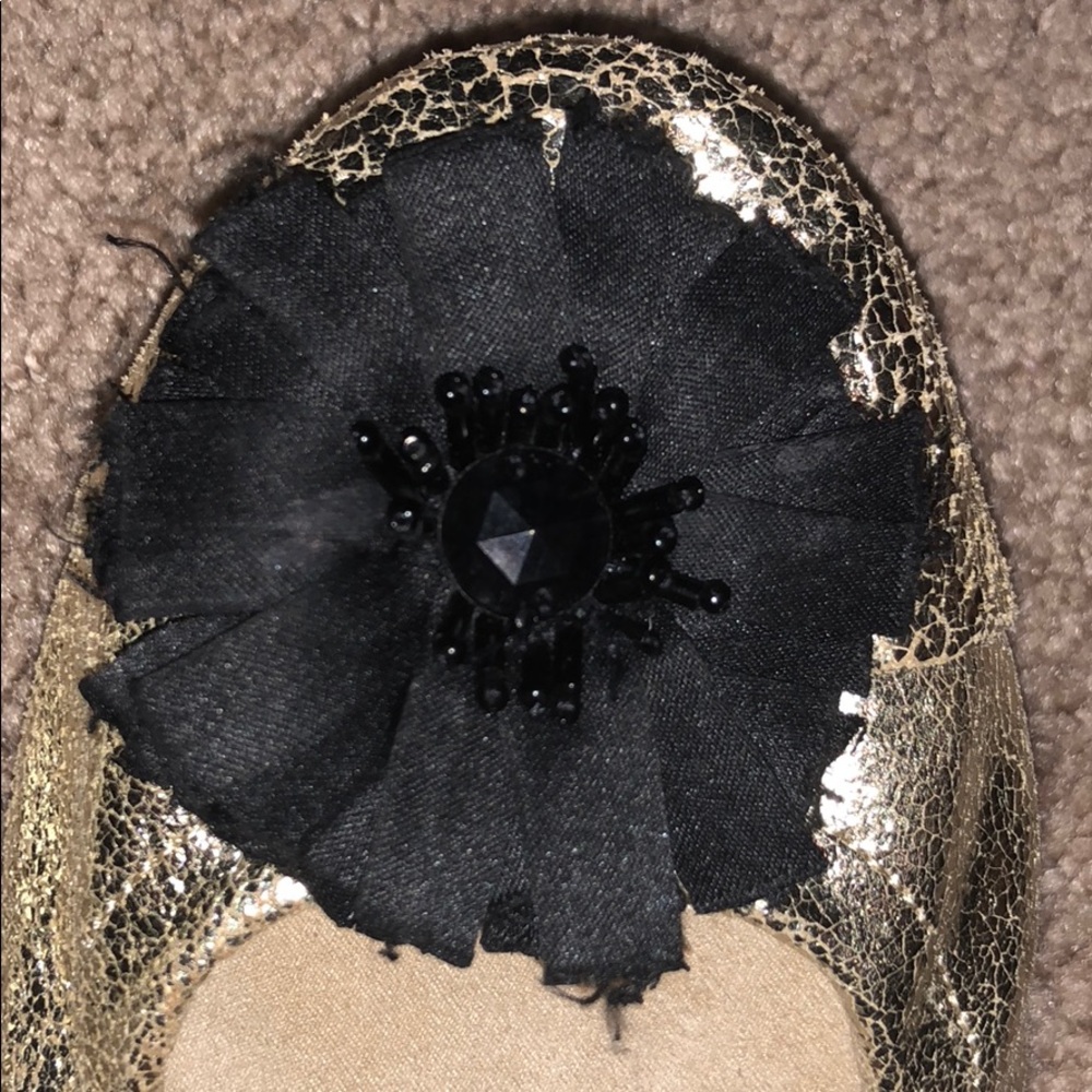 Gold Flats - Picture 3 of 3